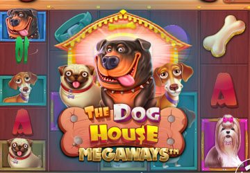 Microgaming - игровой автомат онлайн от Various с RTP 95.59%